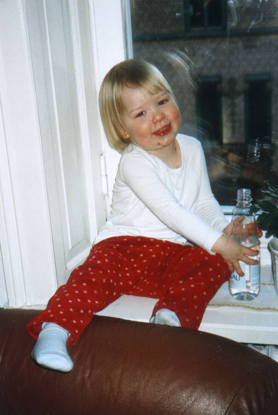 Idas i Kungsholmsf�nster 2002